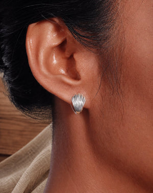 Minimalist frosted shell silver huggie hoop earrings on warm walnut